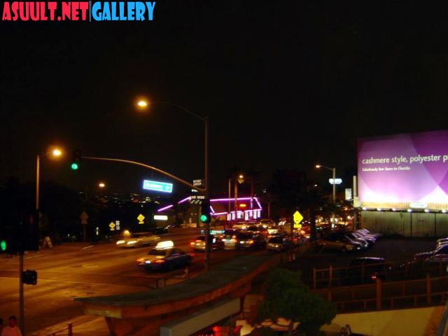 DSC00006