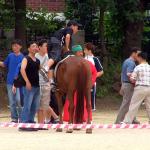 2004-07-11 - Naadam in Korea