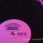 Amira_MUSE_July17_2004_10