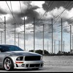 mustang 8