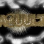 Asuult Art by Members
