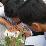 2006.08.15 mongolch erdemted 12